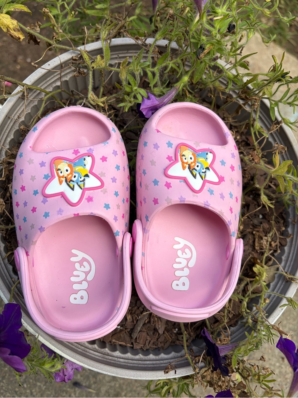 Bluey Pink Star Clog Sandals for Kids